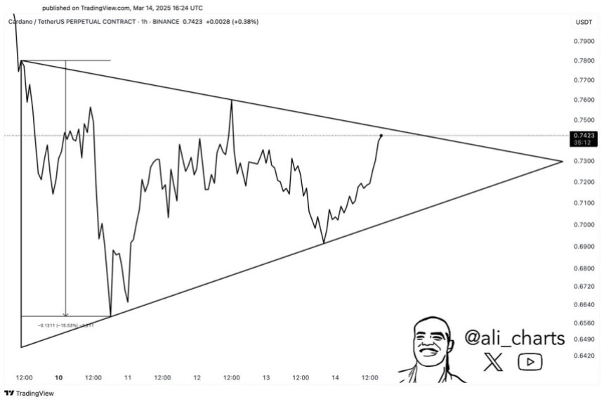 Cardano forming a bullish pattern | Source: ADAUSDT chart on TradingView